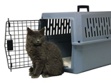 контейнер для перевозки кошки